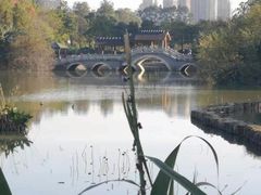 -金山公园
