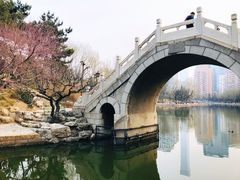 -团结湖公园