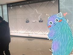 -Dior迪奥(国贸商城店)