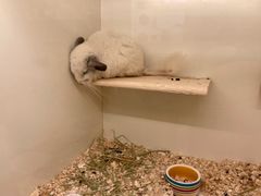 -龙猫仔乐园(惠福东路店)