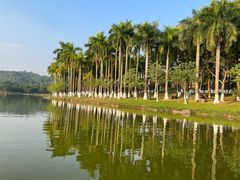 -大夫山顺驰自助烧烤场