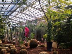 -呀路古热带植物园