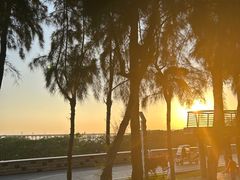 -宝安西湾红树林湿地公园