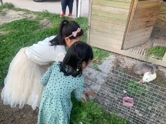 -美家乐农庄·露营·团建(大治路店)