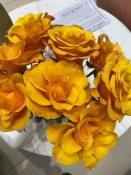 -WENDY·温迪皮肤管理