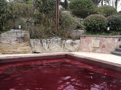 -天目湖涵田半山温泉