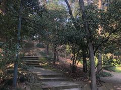 -杭州黄龙洞