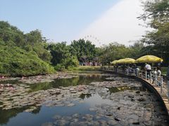 -白沙门生态公园