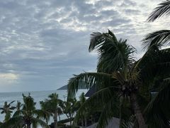 -日落吧·海景咖啡厅·餐酒吧·鸡尾酒·下午茶·乐队表演·浪漫夕阳·三亚文华东方酒店