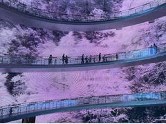 -中国电影博物馆