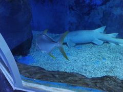 -多彩贵州城极地海洋世界