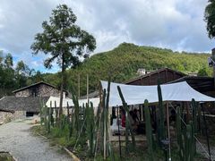 -MOJ coffee(瓯海泽雅水碓坑店)