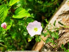 -三江森林温泉度假区