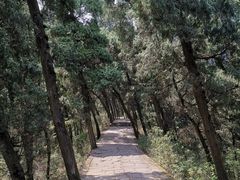 -金堂县云顶石城风景区