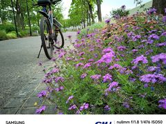 -上海山野camping·户外天幕烧烤·团建拓展营地