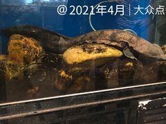 -寻味顺德·顺峰山庄(大良店)