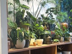 -自由生长植物工作室(深港花卉中心店)