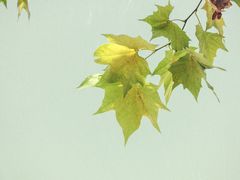 -青岛天主教堂(市南区)