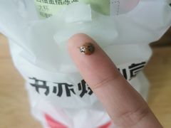 -书亦烧仙草(长沙医学院店)