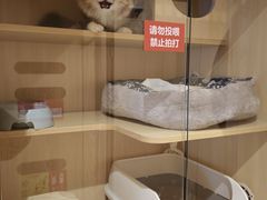 -海底捞火锅(苏宁广场店)