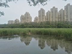 -前关湿地公园
