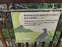 -九龙公园