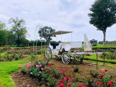 -武汉紫薇都市田园