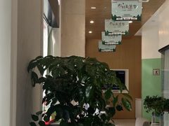 -金琴口腔·正畸种植全科(太升北路店)