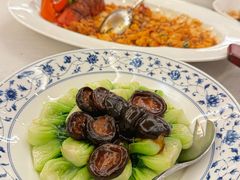 冬菇菜心-上海和平饭店龙凤厅 Dragon Phoenix