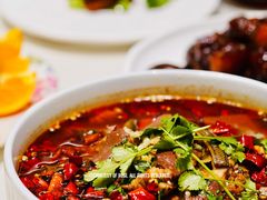 -蝶园·装修中(BFC外滩金融中心店)