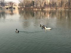 -北京小汤山医院体检中心