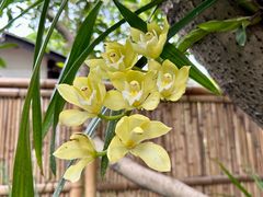-成都杜甫草堂博物馆