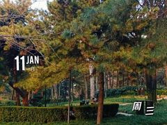 -陕西民俗大观园