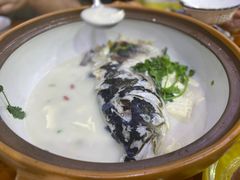-全乐鱼馆·淳牌有机鱼直营店