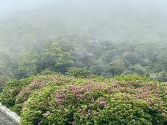 -梧桐山风景名胜区