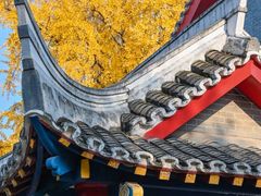 -四川大学(华西校区)