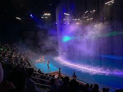 -芜湖新华联大白鲸海洋公园