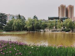 -西安市长乐公园