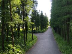 -美的鹭湖森林度假区