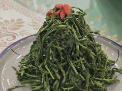 清香枸杞苗-国强手抓(西夏区店)
