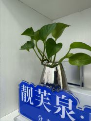 -靓芙泉专研痘痘肌