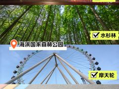 -日照海滨国家森林公园