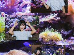 -南昌海洋公园