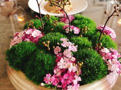 -三利音·浦之舟(滨江大道店)