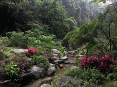 -火炉山森林公园