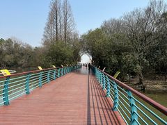 -上海吴淞炮台湾国家湿地公园