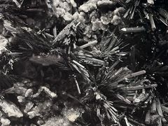 -贵州省地质博物馆