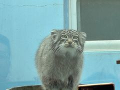 -青藏高原野生动物园