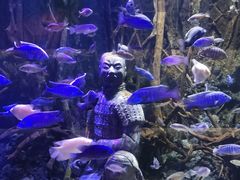 -华夏文旅海洋公园