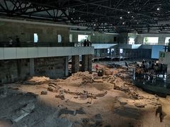 -自贡恐龙博物馆